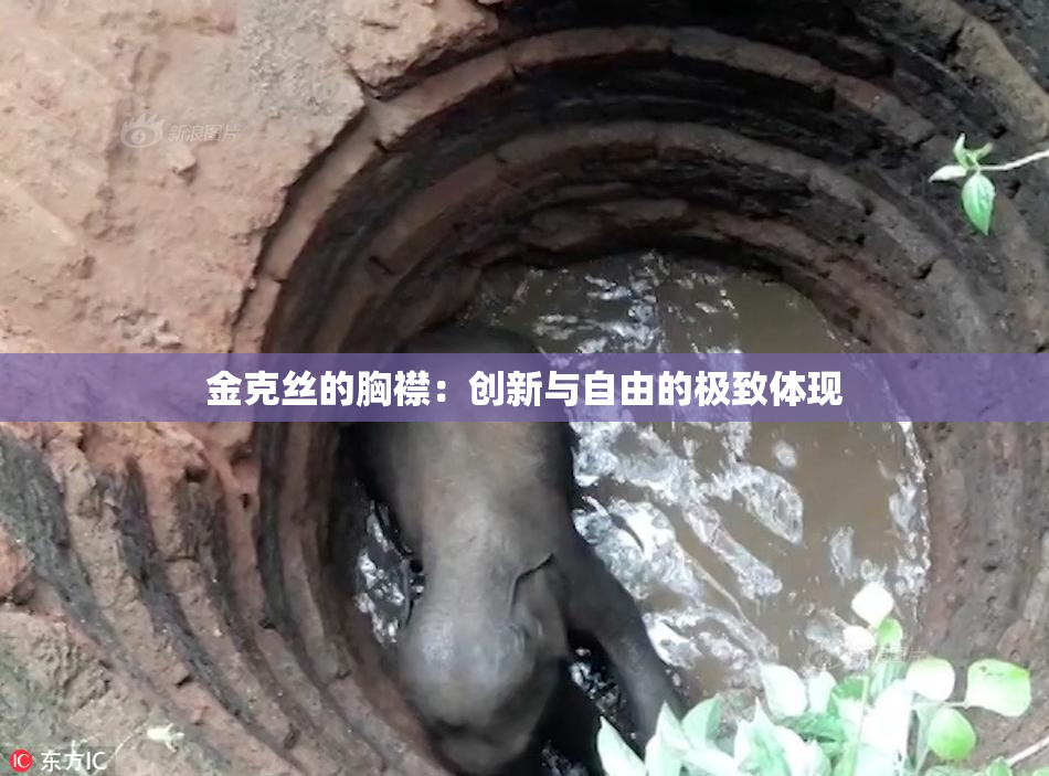 金克丝的胸襟：创新与自由的极致体现