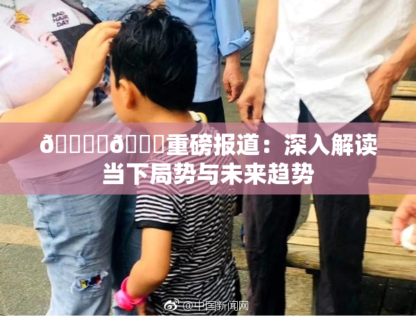 🔞‌🍌重磅报道：深入解读当下局势与未来趋势