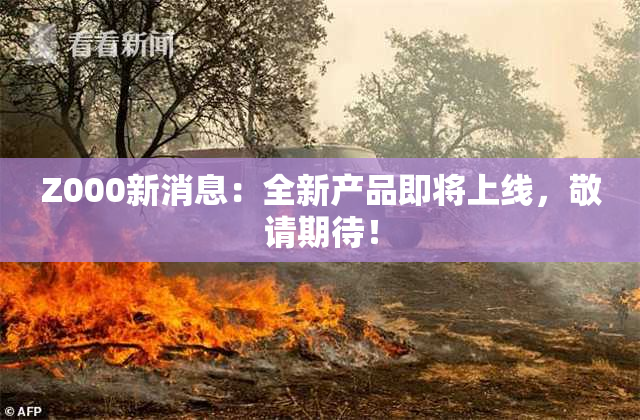 Z000新消息：全新产品即将上线，敬请期待！