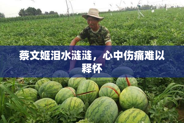蔡文姬泪水涟涟，心中伤痛难以释怀