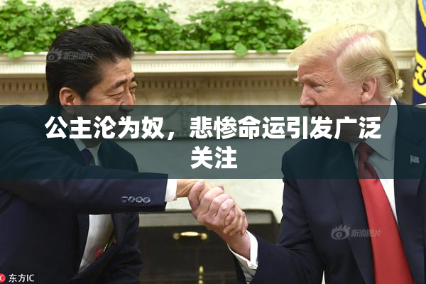 公主沦为奴，悲惨命运引发广泛关注