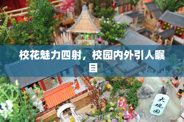 校花魅力四射，校园内外引人瞩目