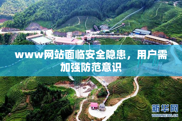 www网站面临安全隐患，用户需加强防范意识