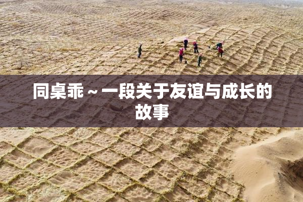 同桌乖～一段关于友谊与成长的故事