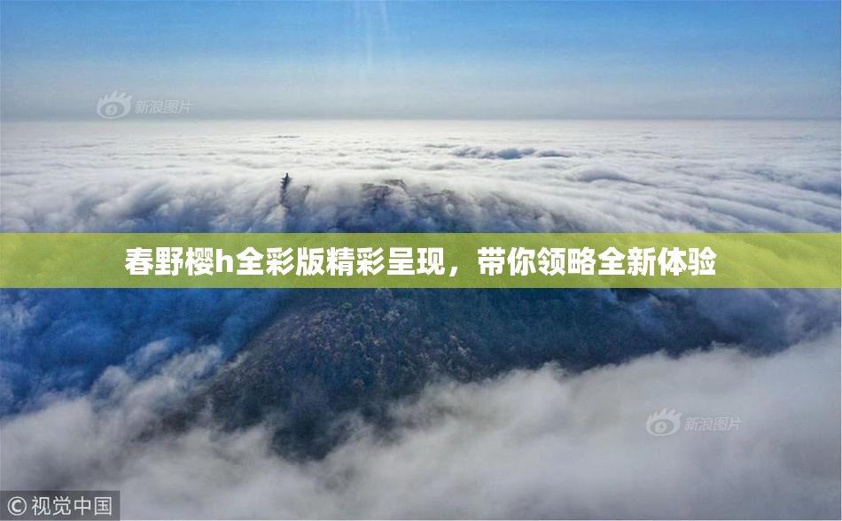 春野樱h全彩版精彩呈现，带你领略全新体验