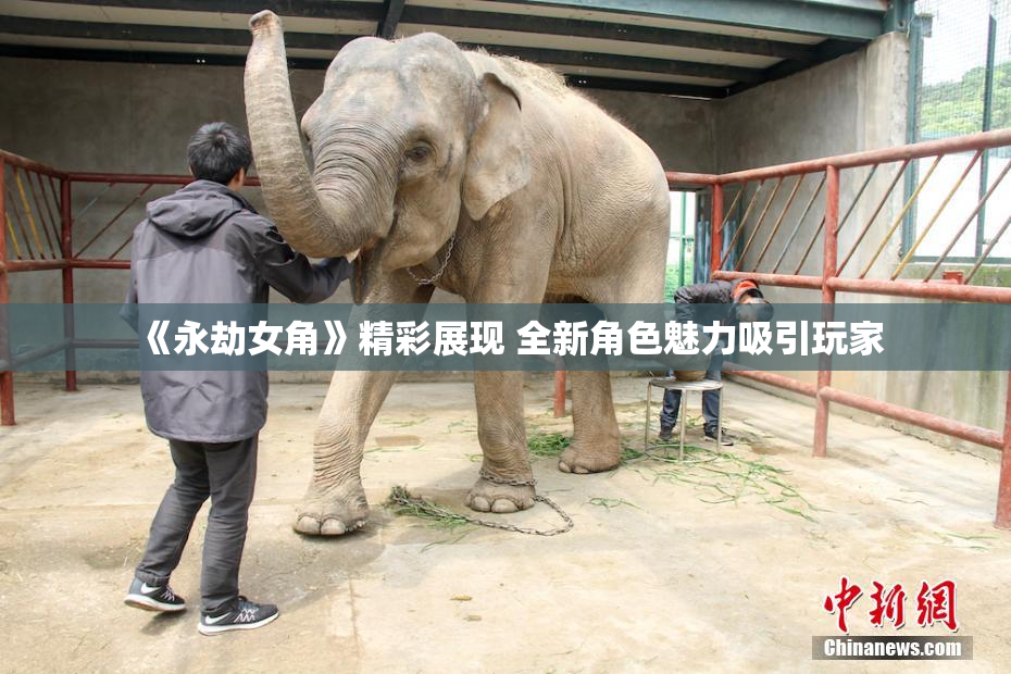 《永劫女角》精彩展现 全新角色魅力吸引玩家