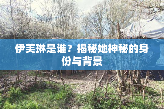 伊芙琳是谁？揭秘她神秘的身份与背景