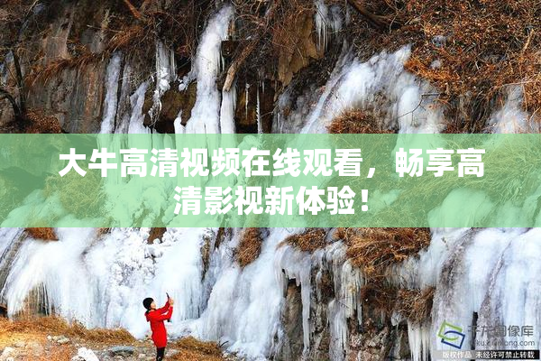 大牛高清视频在线观看，畅享高清影视新体验！