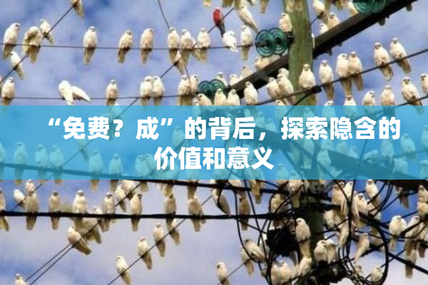 “免费？成”的背后，探索隐含的价值和意义