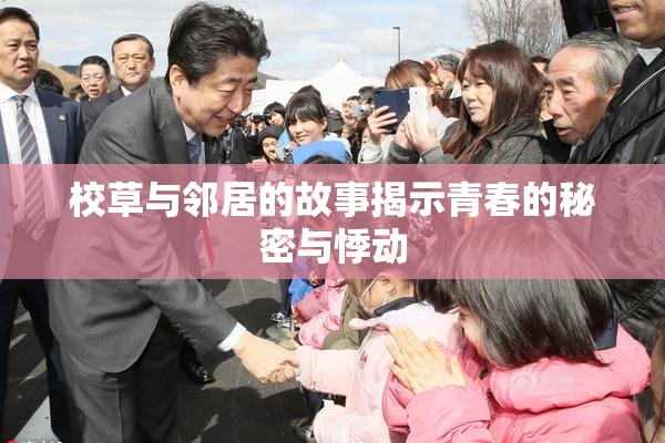 校草与邻居的故事揭示青春的秘密与悸动