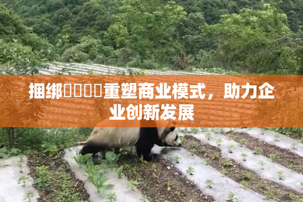 捆绑❌‌❌‌重塑商业模式，助力企业创新发展