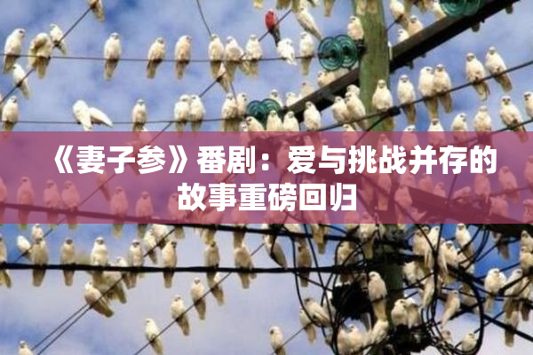 《妻子参》番剧：爱与挑战并存的故事重磅回归