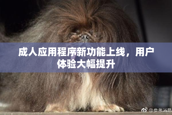 成人应用程序新功能上线，用户体验大幅提升