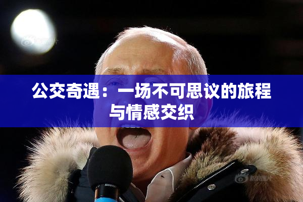 公交奇遇：一场不可思议的旅程与情感交织