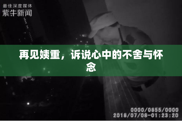 再见姨重，诉说心中的不舍与怀念