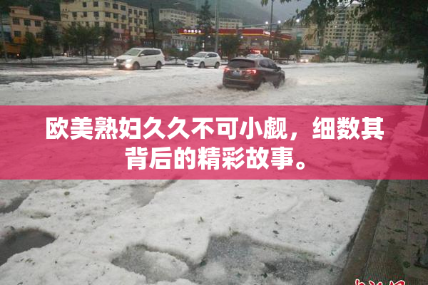 欧美熟妇久久不可小觑，细数其背后的精彩故事。
