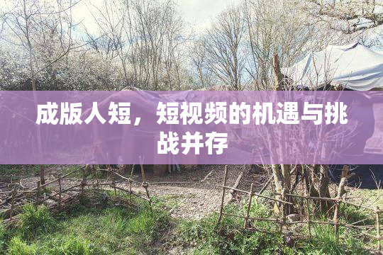 成版人短，短视频的机遇与挑战并存