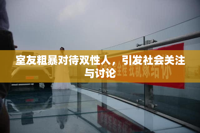室友粗暴对待双性人，引发社会关注与讨论