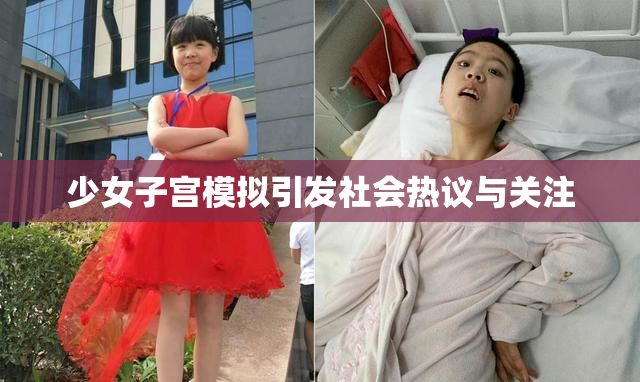 少女子宫模拟引发社会热议与关注