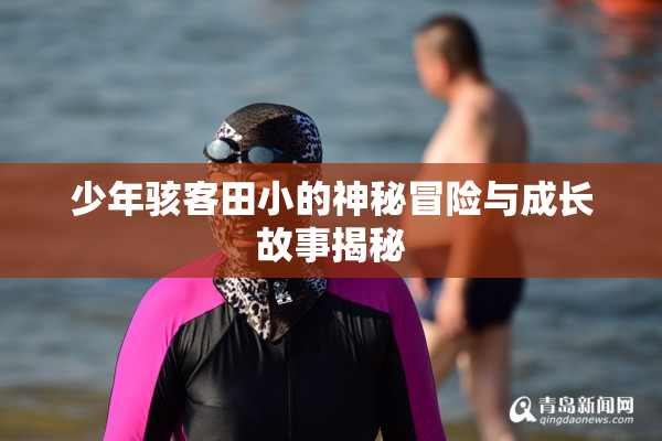少年骇客田小的神秘冒险与成长故事揭秘