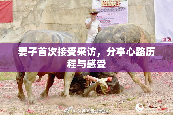 妻子首次接受采访，分享心路历程与感受