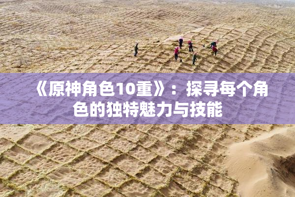 《原神角色10重》：探寻每个角色的独特魅力与技能