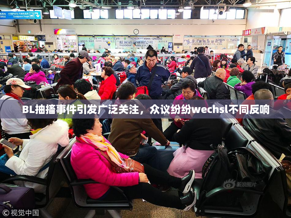 BL抽搐事件引发广泛关注，众议纷纷wechsl不同反响