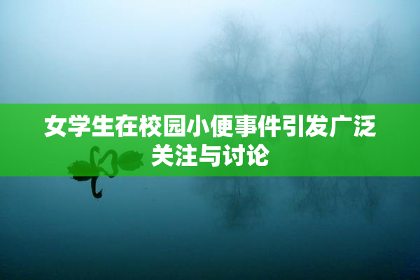 女学生在校园小便事件引发广泛关注与讨论