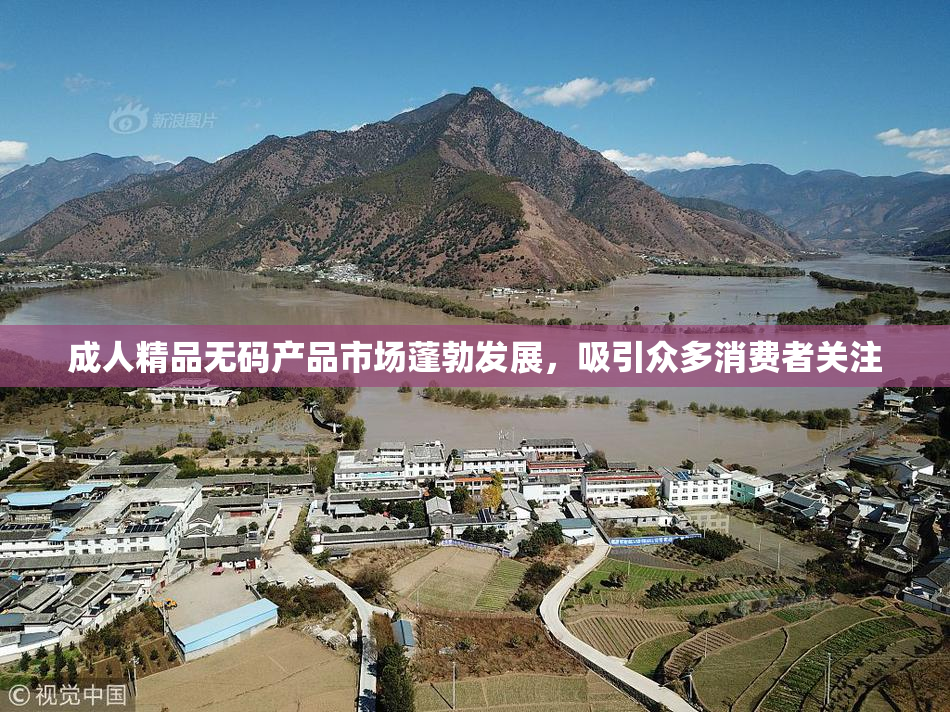 成人精品无码产品市场蓬勃发展，吸引众多消费者关注