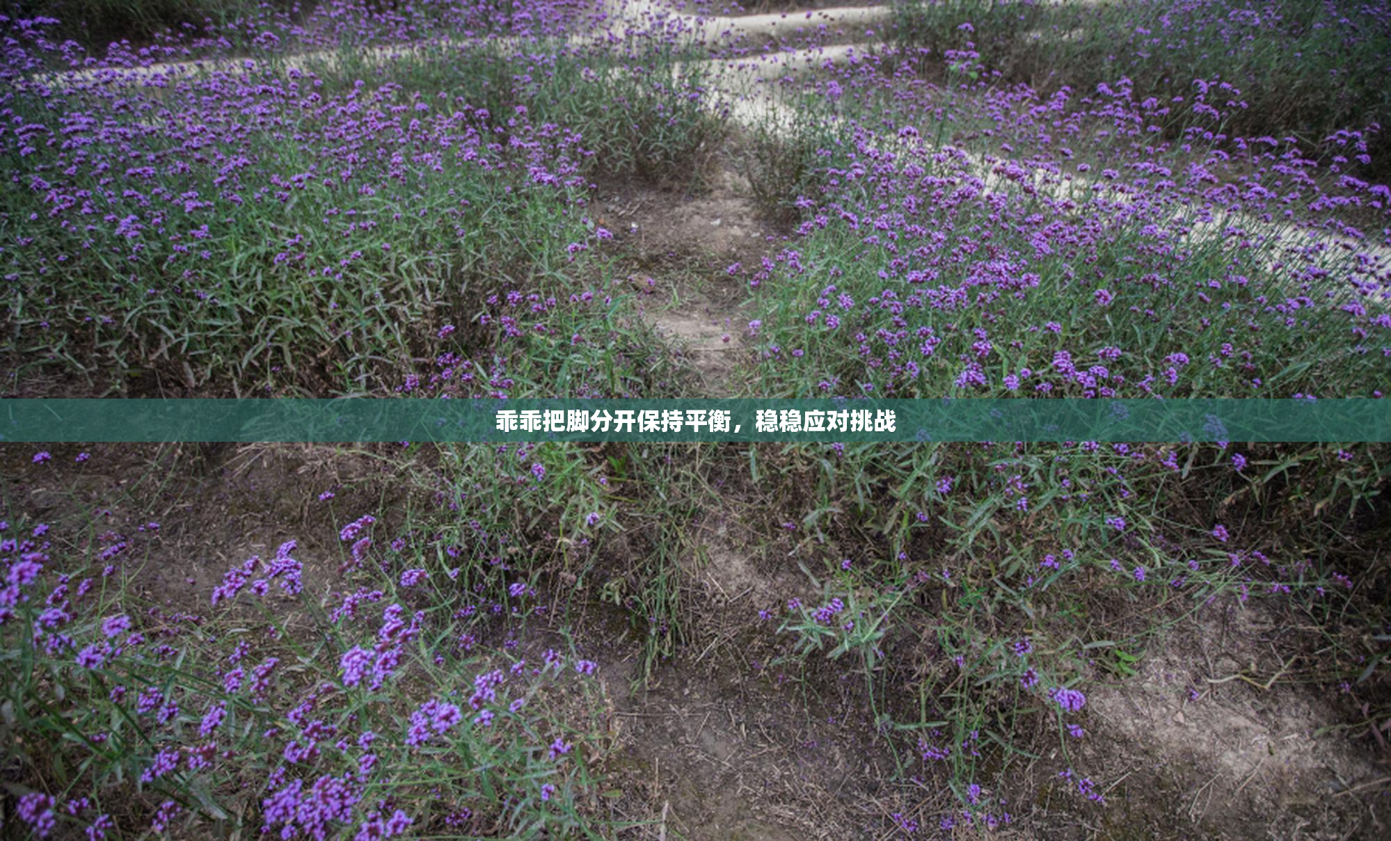乖乖把脚分开保持平衡，稳稳应对挑战