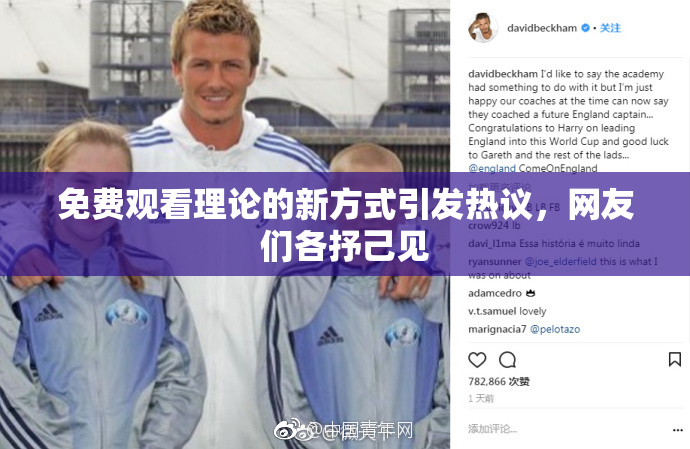 免费观看理论的新方式引发热议，网友们各抒己见