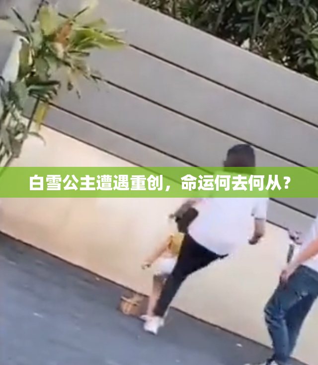 白雪公主遭遇重创，命运何去何从？