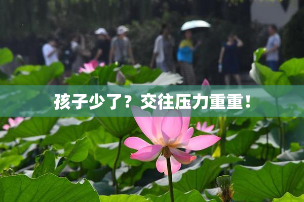 孩子少了？交往压力重重！