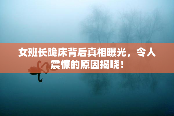 女班长跪床背后真相曝光，令人震惊的原因揭晓！