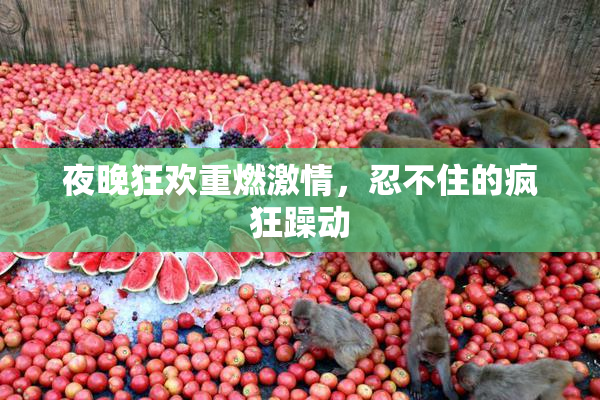 夜晚狂欢重燃激情，忍不住的疯狂躁动