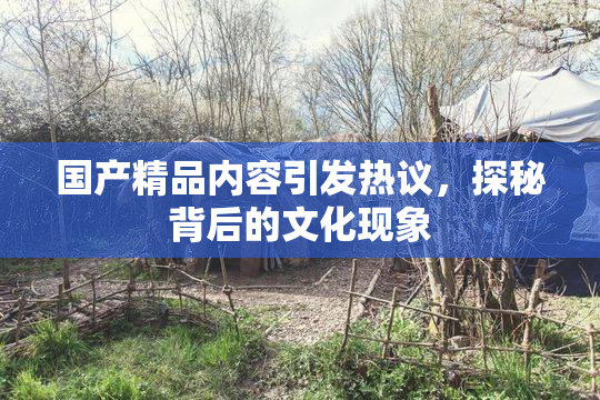 国产精品内容引发热议，探秘背后的文化现象