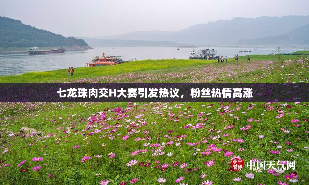 七龙珠肉交H大赛引发热议，粉丝热情高涨