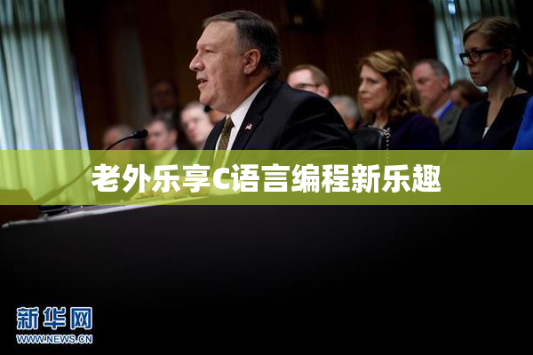 老外乐享C语言编程新乐趣