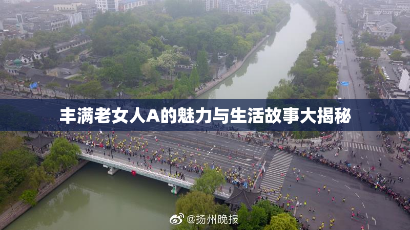 丰满老女人A的魅力与生活故事大揭秘