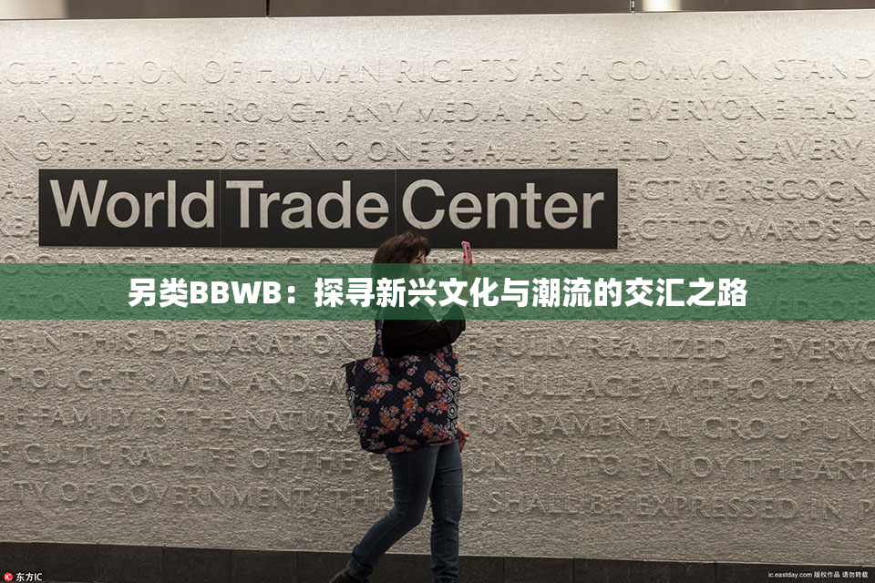另类BBWB：探寻新兴文化与潮流的交汇之路