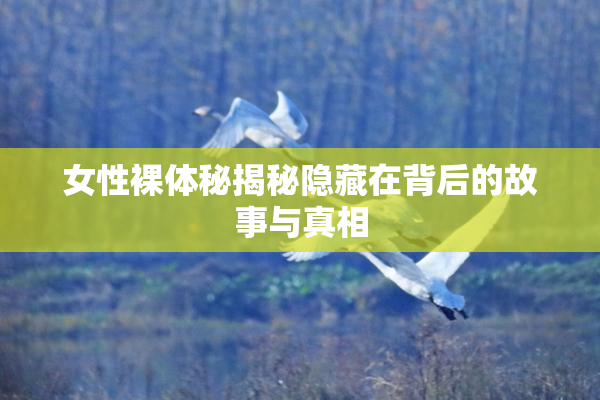 女性裸体秘揭秘隐藏在背后的故事与真相