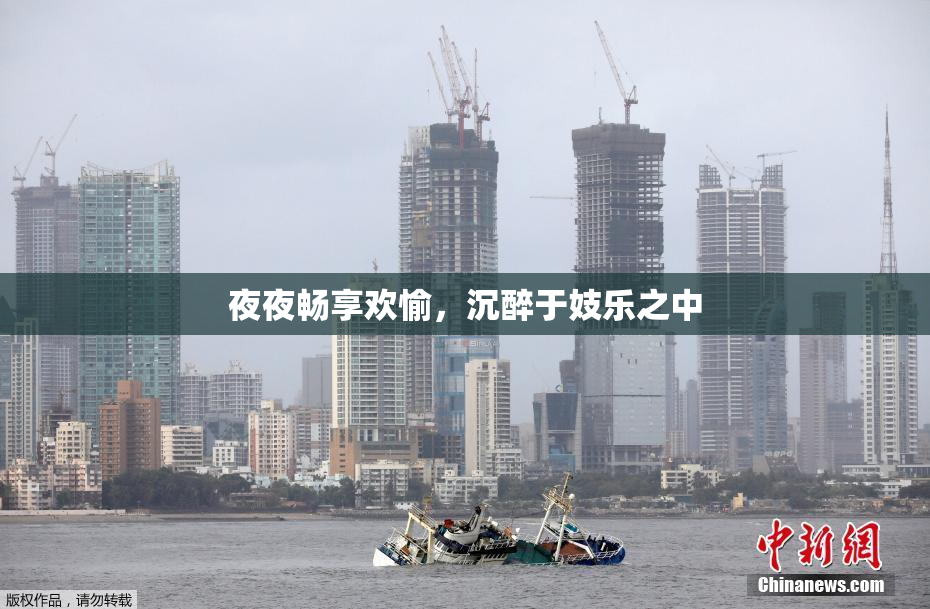 夜夜畅享欢愉，沉醉于妓乐之中