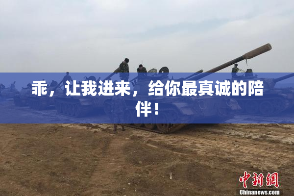 乖，让我进来，给你最真诚的陪伴！