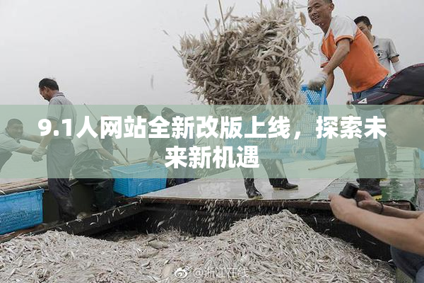 9.1人网站全新改版上线，探索未来新机遇