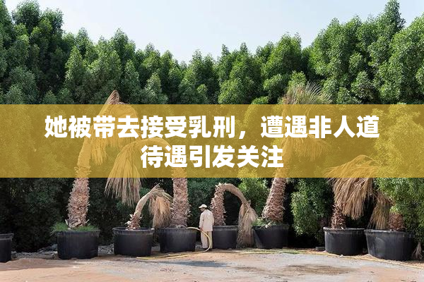 她被带去接受乳刑，遭遇非人道待遇引发关注