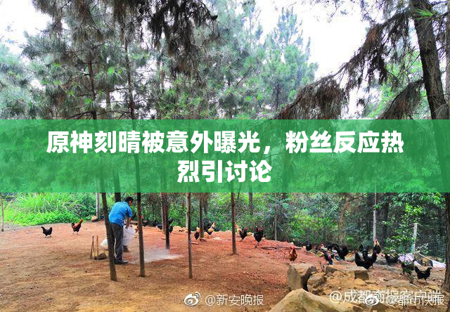 原神刻晴被意外曝光，粉丝反应热烈引讨论