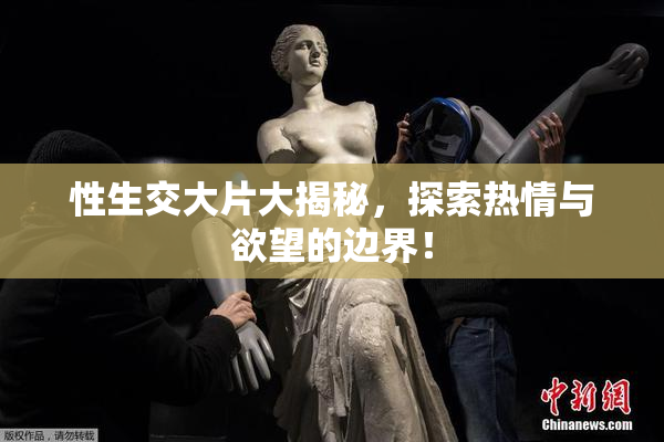 性生交大片大揭秘，探索热情与欲望的边界！