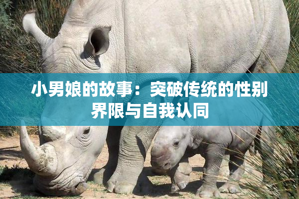 小男娘的故事：突破传统的性别界限与自我认同