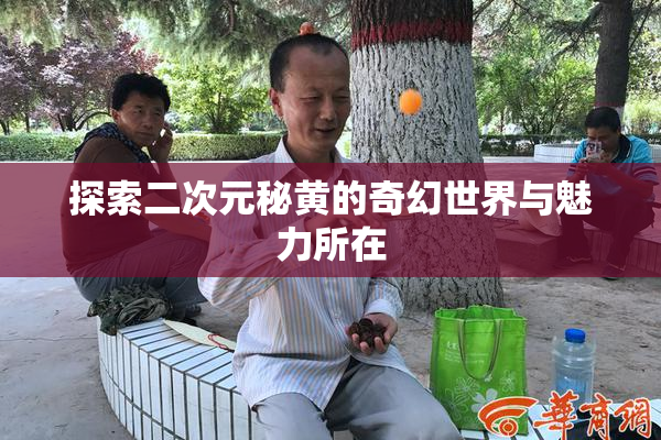 探索二次元秘黄的奇幻世界与魅力所在