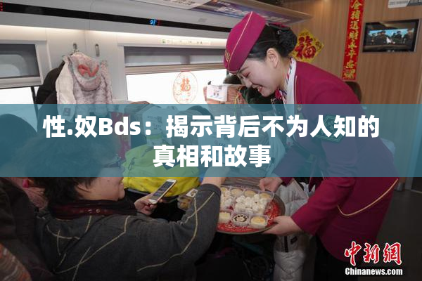 性.奴Bds：揭示背后不为人知的真相和故事